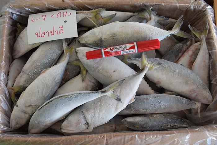 Clearance Product Fullsize