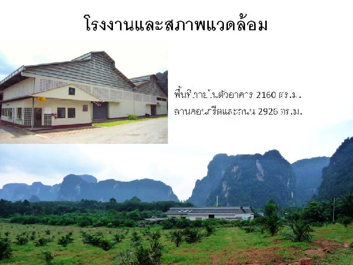 Clearance Product Fullsize